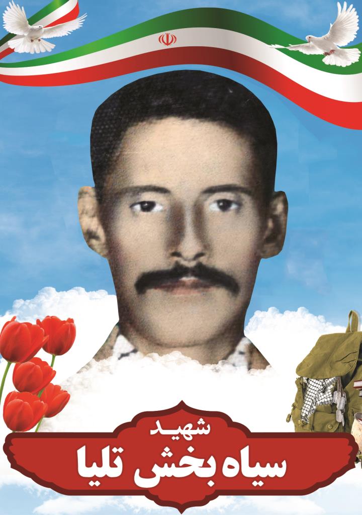 فاقد تصویر